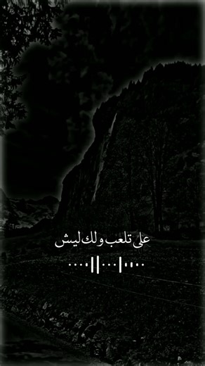 Black and White Cows in Scenic Rural Landscape