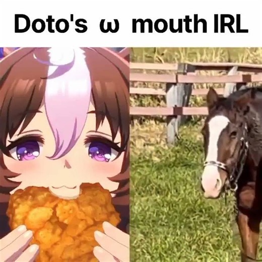 Meisho Doto mouth irl #umamusume