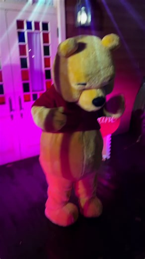 DisneylandCharacterMagic on TikTok