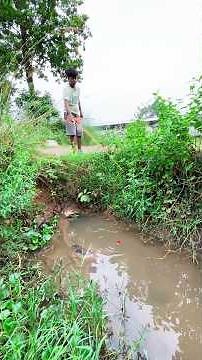 If you want to catch big catfish you must use best fishing hook and methods #fishingtechniques