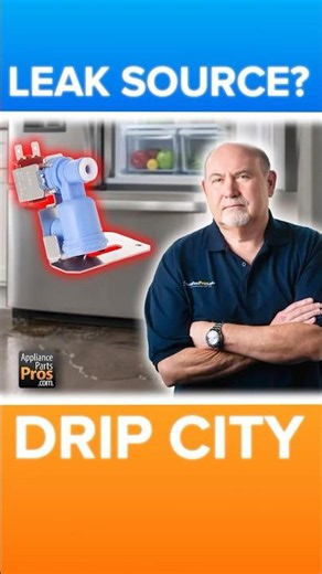 Refrigerator Leaking Water? Check the Water Inlet Valve First