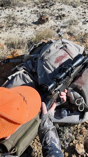 Weatherby Mark V Antelope Hunt