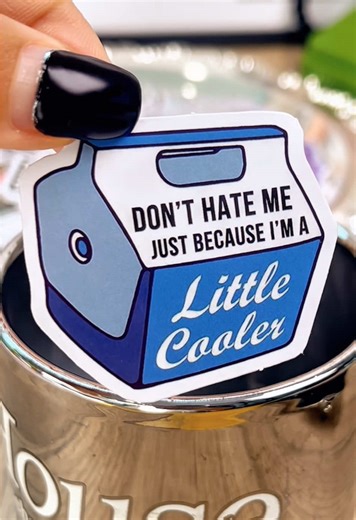 130 Funny Vinyl Waterproof Stickers for Every Use