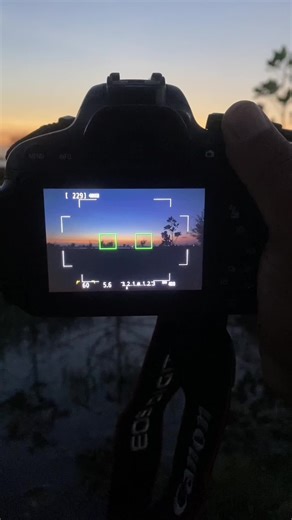 The Best Affordable Canon Cameras for Stunning Photos