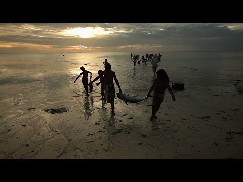 Monster Boats - Kiribati