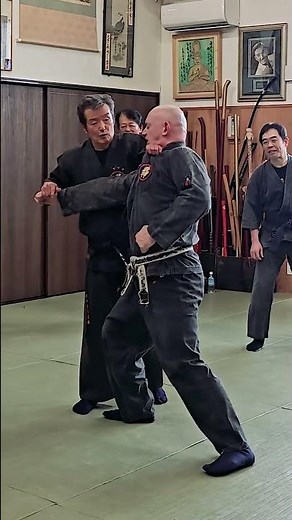 Ninjutsu Japan #martialarts #bujinkan #ninja #samurai #ninjutsu #budo #japan #武道 #traditional