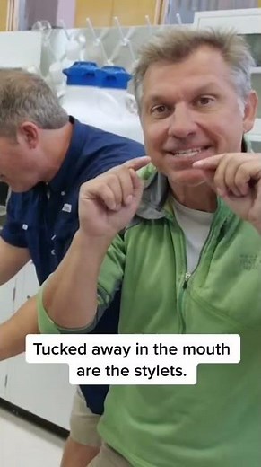 Tardigrades: Creatures that can Survive Space!