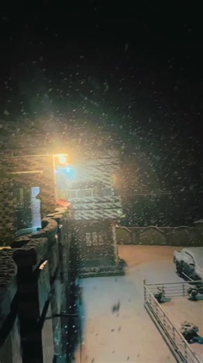 Snowfall: A Winter Wonderland Experience