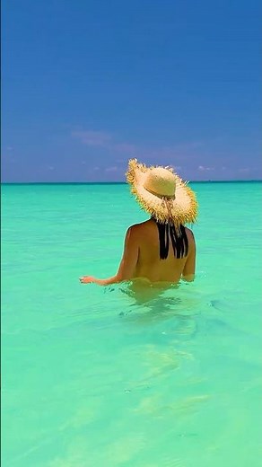 Wild swimming in perfect water 🏖 The Definition of a Perfect Caribbean beach day #shorts