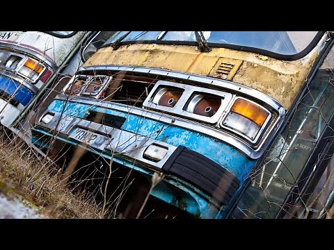 Bus Graveyard - Abandoned Dumped Buses - Urban Explore Wales - Patina School Bus
