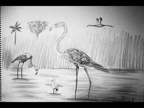 How to draw beautiful Scenery of corn field