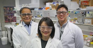UNSW provides sturdy backbone for osteo-ntrepreneurs