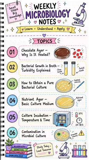 6 Important Microbiology Topics for Students 🔬📚 #science #biology #microbiology