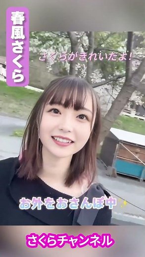 桜がきれいだよ！ #shorts #春風さくら #さくらチャンネル