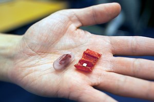 MIT Has Developed a Tiny Ingestible Origami Robot That Can Unfold Itself To Patch Wounds