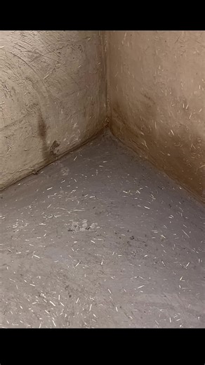 Explore Robot Vibes in Balinotmogis