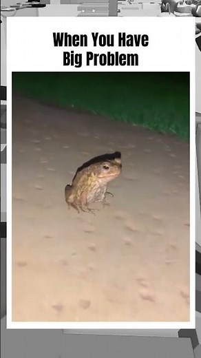 What Are You Doing Bro #memes #funny #shorts