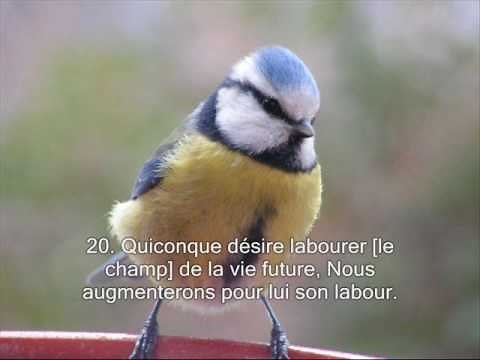 Sourate 42. La consultation (Achoura) / Récitation en VO & Traduction en Français 1-2