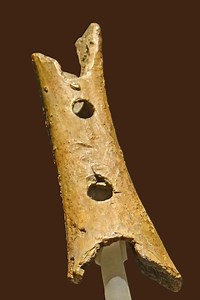 Divje Babe Flute - Alchetron, The Free Social Encyclopedia