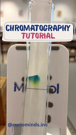 Paper chromatography tutorial #teachingcommunity #stemlearning #science #fyp #lofi