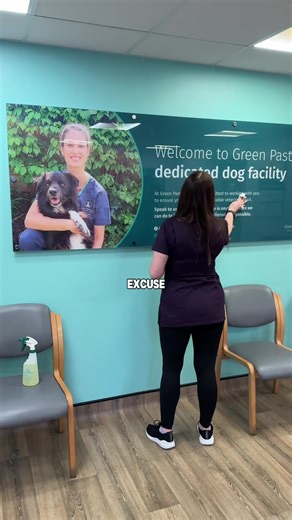 Do we treat dogs in our veterinary practice? #pets #greenpastures #vets #fyp