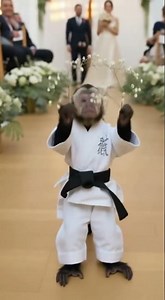 Monkey Ring Bearer Steals The Wedding Show