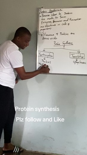 Understanding Protein Synthesis in Life Science