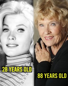 280K views · 7K reactions | What happened to Pat Priest? | Songs That Rock | Facebook