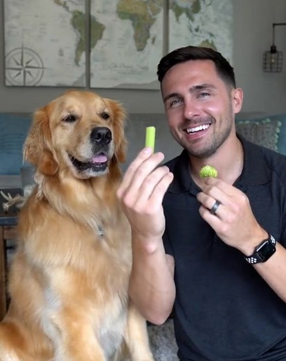 2.1M views · 41K reactions | This big floof is so good at taste tests - someone give her a promotion  | Tyla | Facebook