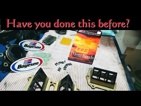 Changing 2 Stroke Reeds (on Arctic Cat Sled)