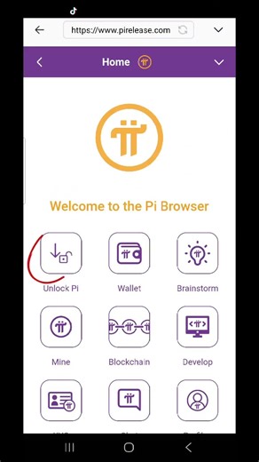 Pi Not Migrating to Mainnet? 🧩 Here’s the Fix