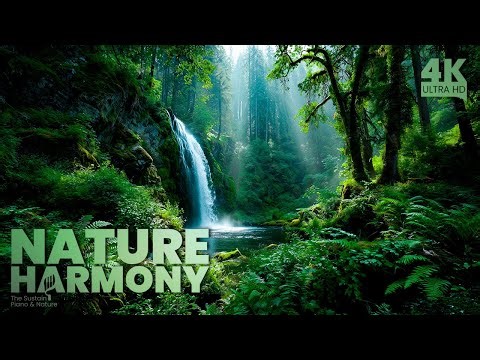 Nature’s Harmony – Flow of Living Waters 🌊🌿 (No Ads)