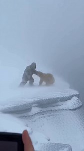 700K views · 6.2K reactions | Hombre de las nieves vs Oso Polar | Viajes al Desconocido | Facebook