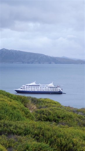 Wulaia Bay: a place steeped in history and nature 🌊 🏡 It was home to the Yaghan people, who inhabited the region long before the arrival of explorers. 🛶 Charles Darwin visited this bay during his voyage on the Beagle, and was fascinated by its biodiversity and landscapes. 🌄 Surrounded by ancient forests and mountains that lead to incredible viewpoints of the region. It is one of the most impressive places in southern Patagonia. Each Australis landing allows you to connect with the history an