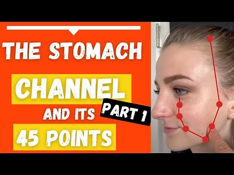 The Stomach Channel Meridian Acupuncture Points location & Functions (Part 1)