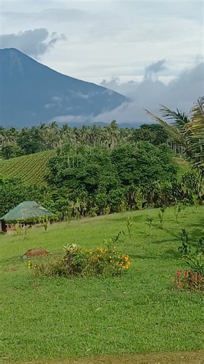 Master scene on Reels