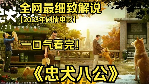 一口气看完4K画质神作《忠犬八公》八筒是一只可爱的中华田园犬，在茫茫人海中遇到了命中注定的主人陈敬修，成为了陈家的一员。