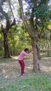 Disappear into the trees _ vfx magic loop 😱😂 . . #reels #magic #vfx #loop #comedy #reelsviral #funny #funnyvideos #fun #reelsfb #foryou #foryoupage #trending #explore #explorepage #instagram #instareel #instaviral #instadaily #instagood #viralvideo #reels2023 | Suja Rock