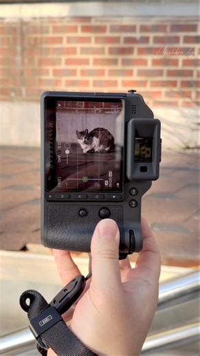 Hasselblad X2D II 100C Cinematic 4k Photography – PURE ART 🖼️✨