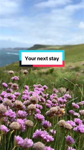 Wild coastal walks. Harbour sunsets. A proper Cornish pub. Then back to St Christopher’s Cottage for underfloor heating, open-plan living, and a long soak in a rolltop bath. Our traditional Boscastle cottage sleeps four and welcomes dogs — perfect for families or couples who love the outdoors but appreciate a little comfort too. Easter and summer bookings now available via Classic Cottages - search 4340 at classic.co.uk #boscastle #cornwall #boscastleharbour #summerholidays #easterholidays