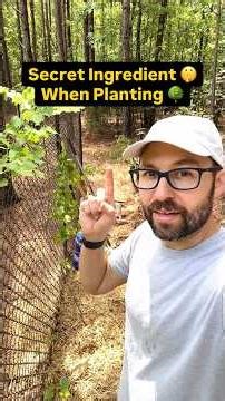 Secret Ingredient When Planting Trees #fruittrees #gardening #growyourown #orchard #permaculture
