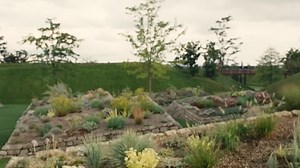 Aeon Flux - The Movie (2005 - 1080p BluRay)