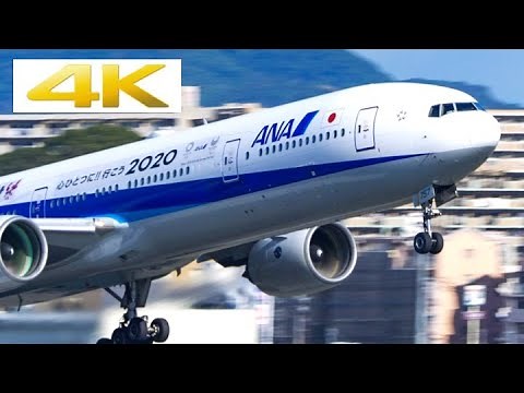 [4k] [飛行機 動画] 福岡空港 Fukuoka airport