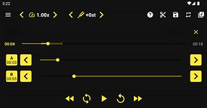 Download and run Loop Player on PC & Mac (Emulator)