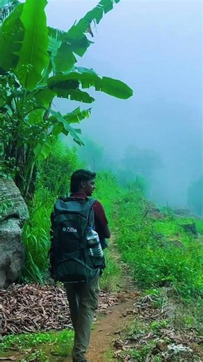 Hiking the MOST Beautiful Trail in Sri Lanka! 🇱🇰 (Pekoe Trail Stage 14) #fyp #nature #travel #fypシ