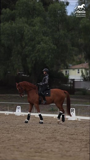 7.4K views · 88 reactions | Canter pirouettes are such a tricky...