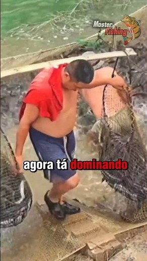 Bagre Africano, a nova praga dos rios. #peixe #masterfishing #curiosidades