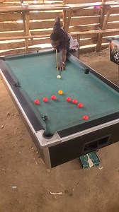 Look at this shot 😭😭follow for more tricks👏 | Apple Man
