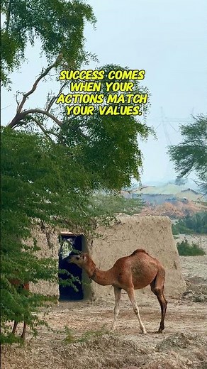 Finding purpose and success powerful motivational speech video #motivation #motivationalspeech