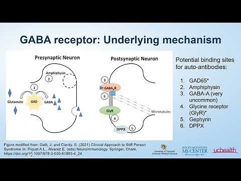 Webinar: Stiff Person Syndrome with Dr. Amanda Piquet